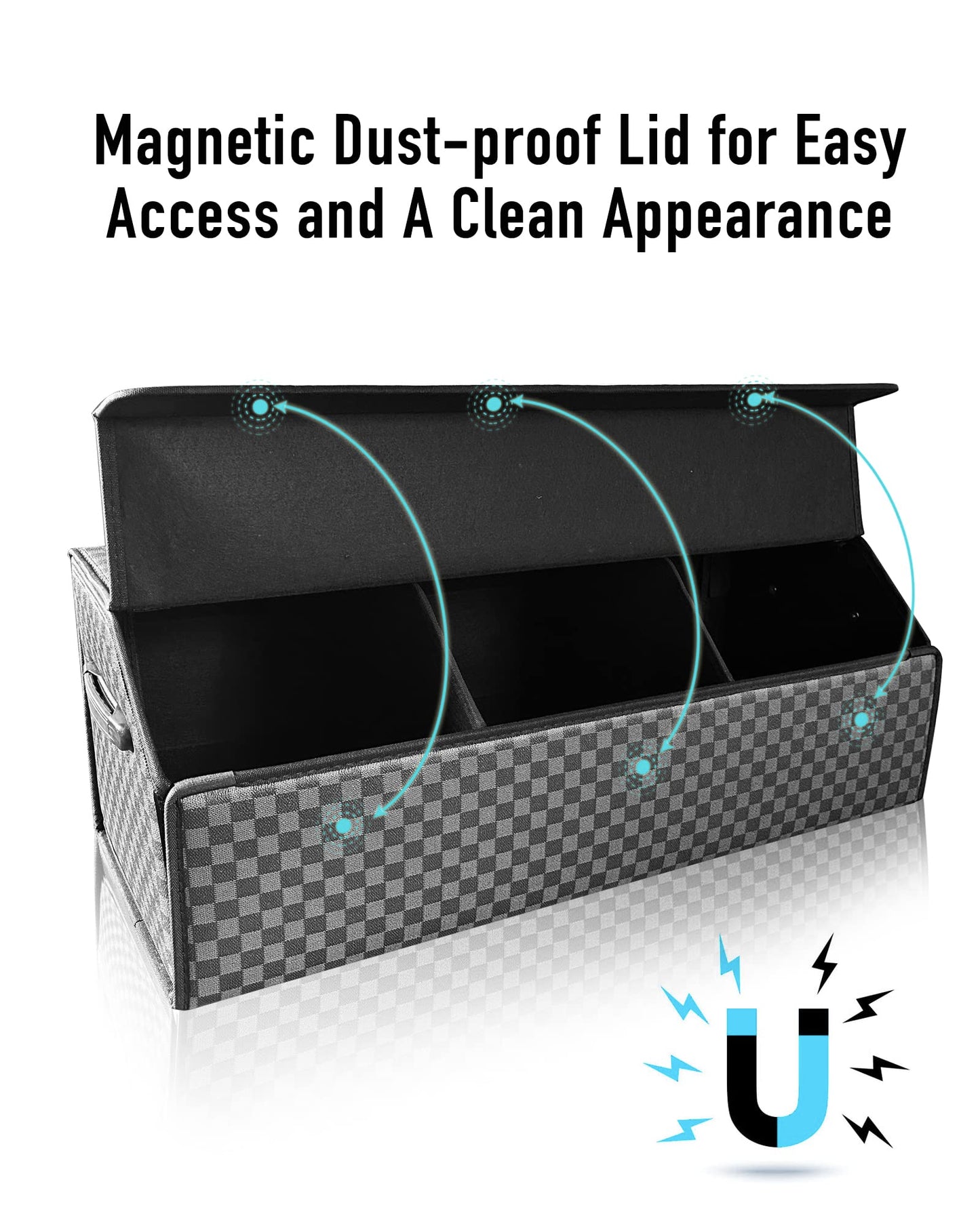 Organizers for Trunk